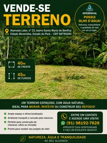 Vendo terreno 68795