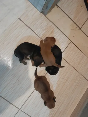 Doação