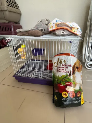 Gaiola para Hamster, porquinho da índia ou coelho