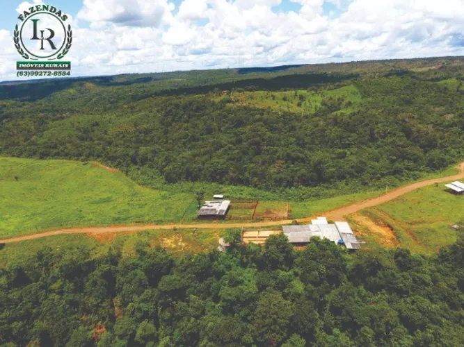 Oportunidade Fazenda Pecuária Próximo de Palmas