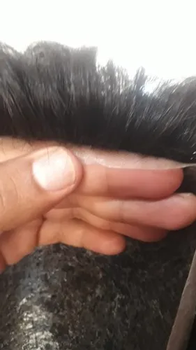 protese capilar peruca cabelo humano micropele tds os tons