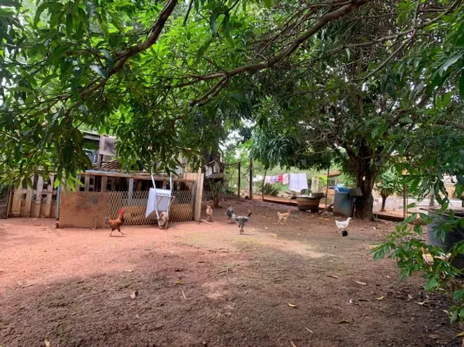 Chácara de 1.000m² plantada de arvores frutíferas, em frente a uma reserva ecológica,.