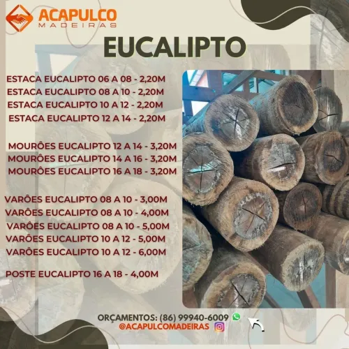 Eucalipto para construção - Várias medidas