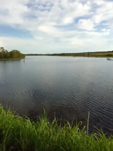 Fazenda a venda em Taguatinga Tocantins!!!