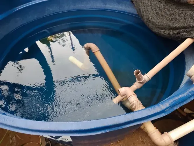 Criatório de peixe , Sistema em caixa d'água 