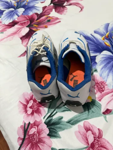Tenis, N42, 20 Reais cada