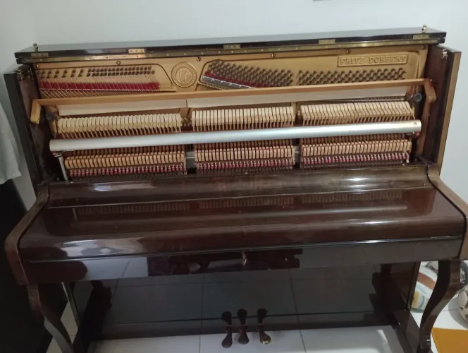 Piano raridade