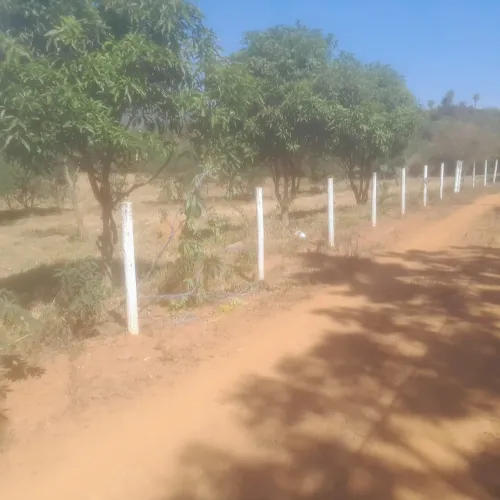Chacaras em serra azul