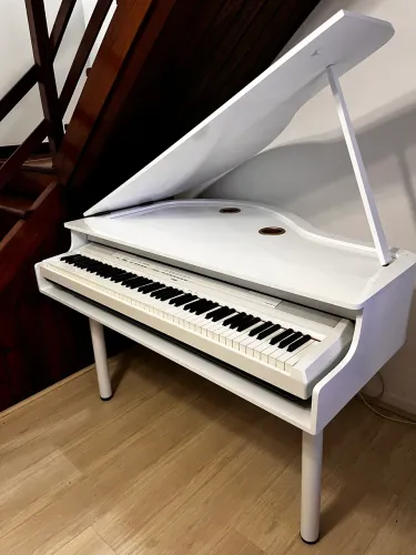 Piano de cauda elétrico