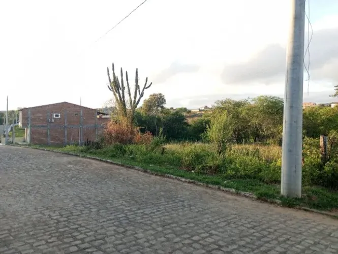 Vende-se Três Terrenos em Flores-PE