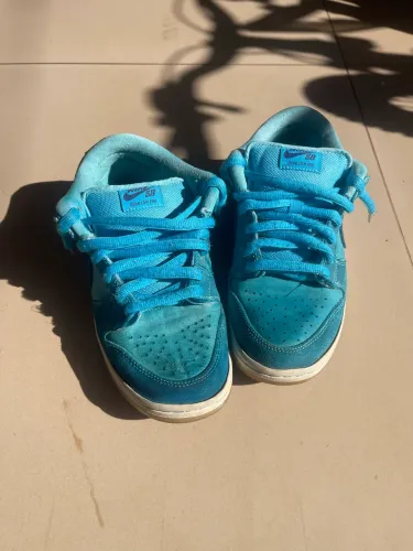 Nike SB 39