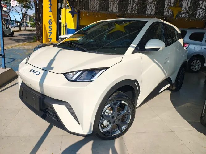 BYD Dolphin Mini (Elétrico) 2027