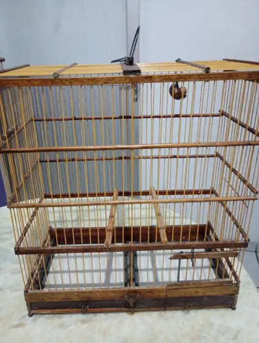 Vendo 2 gailos semi novas, aceito trocas