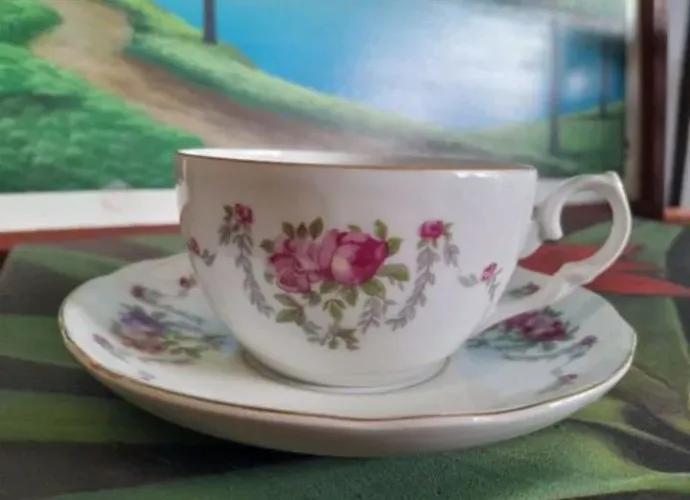 Xicara Porcelana Schmidt