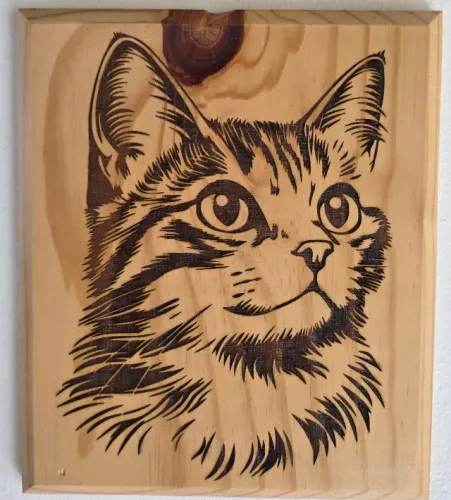 Placa decorativa de madeira gato