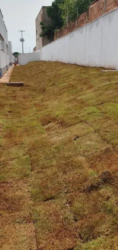 Jardinagem