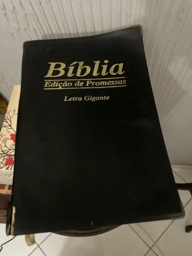 Bíblia Edição de promessas