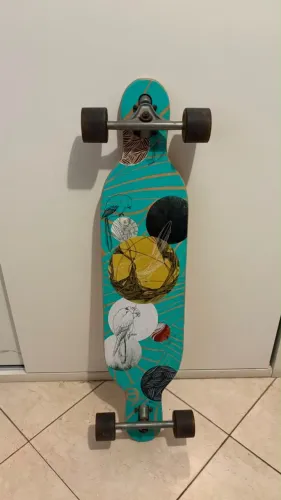 Skate Longboard Byrd Earthship