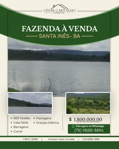 FAZENDA EM SANTA INÊS - 600 TAREFAS
