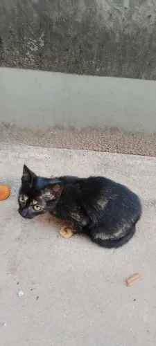 Doação