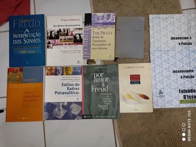 Lote 8 Livros de Psicanálise e Psicologia (Inclui Obras Raras) + Revistas AMP de Brinde
