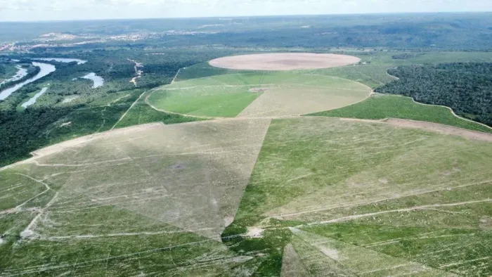 Fazenda a venda do sul Maranhão, com 13 mil hectares sendo 6 mil para lavora e 500 ha de