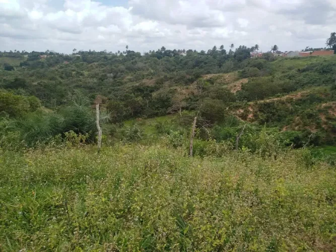 Confirmar preço (LOTE À VENDA 8,4 HECTARES POVOADO MULUNGU, SÃO DOMINGOS/SE)