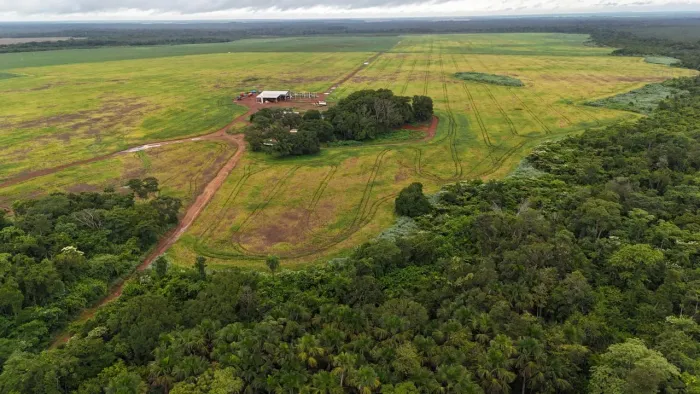 Fazenda arrendamento 1.000 hec no TO. Região chapada de areia TO.