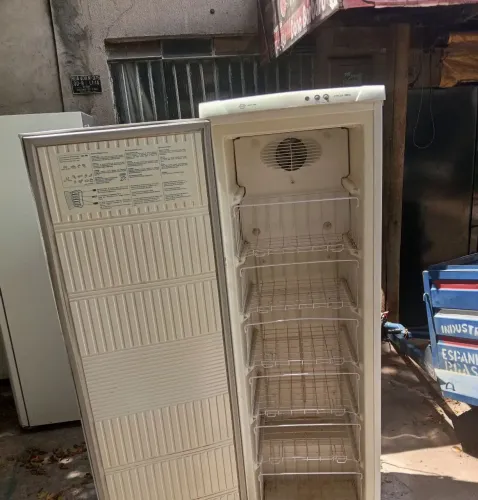 Freezer vertical