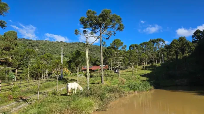 Belíssimo imóvel pronto para morar