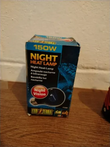 Night heat lamp