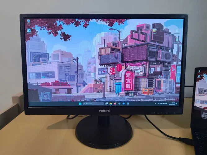 Monitor Full HD 23,4" Philips