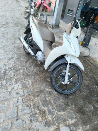 Biz caramelo 2019