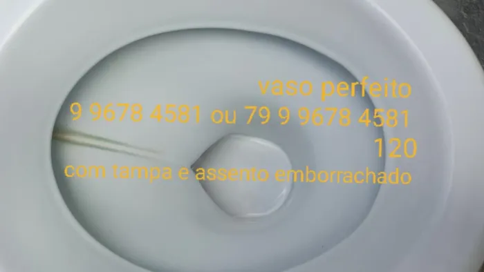 Vaso sanitário pra vender logo em boquim 100