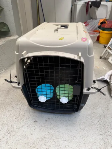 Caixa de Transporte para Cães M - Petmate