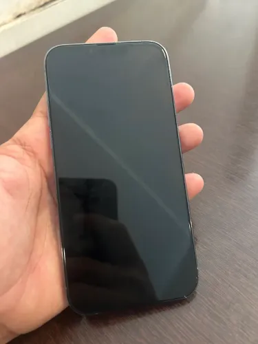 IPhone 13 Pro Max (conservado)