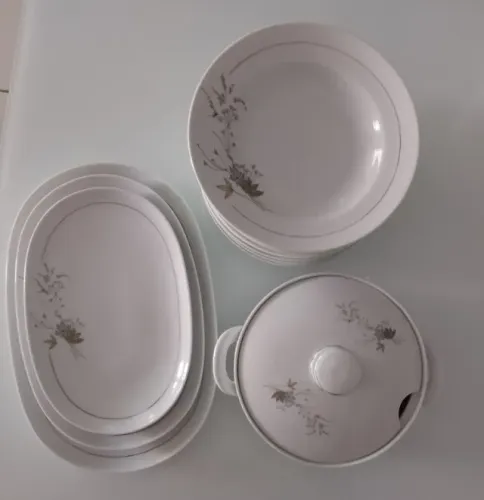 Conjunto Porcelana Real Brasil