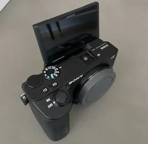 Sony A6600