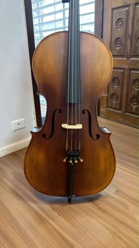 Violoncello Eagle CE 310