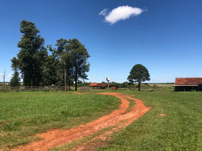 VENDO FAZENDA 1100 HECTARES REGIAO DE DOURADOS ( 6242 )
