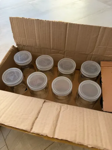 Kit de vidro para armazenar leite materno- super mamãe! 