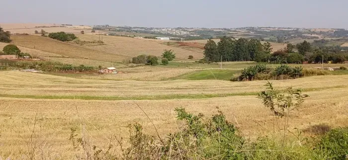 TERRA ROXA - Área Rural 4 Alqueires
