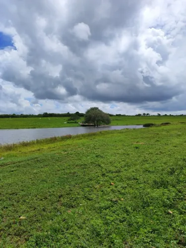 Fazenda/Sítio/Chácara com 17 hectares na região de Monte Alegre com açude poço cural top a