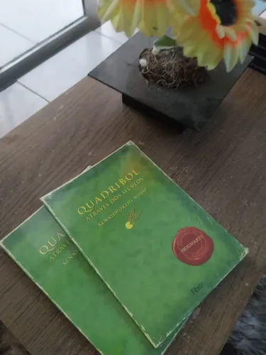 Livro Quadribol através dos séculos