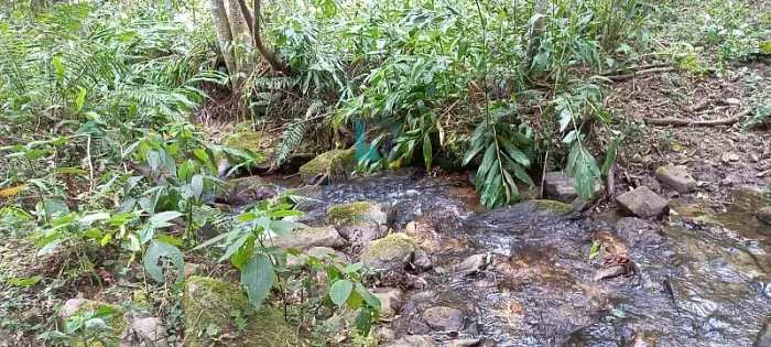 SÍTIO RICO EM ÁGUA E MATA EM MARMELÓPOLIS - MG
