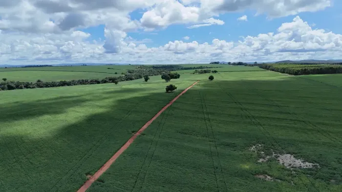 Fazenda a venda, em Pontalina - Goiás!!!