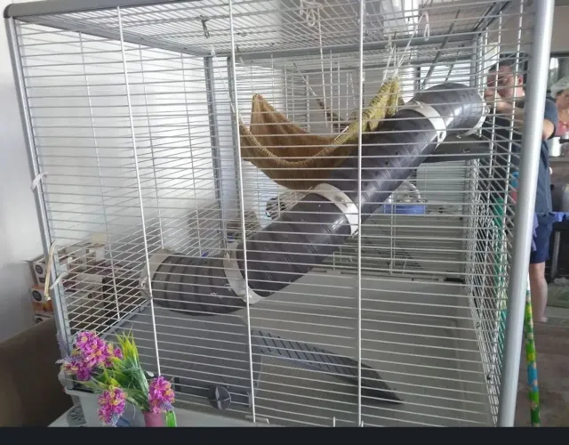 Gaiola para animais ou Furão Ferret