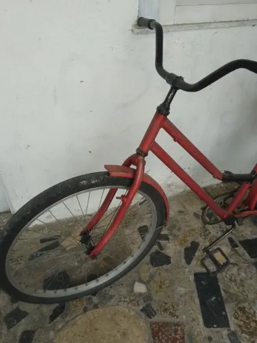 Bicicleta adulto 