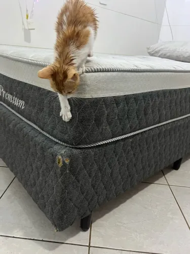 CAMA BOX SOLTEIRO