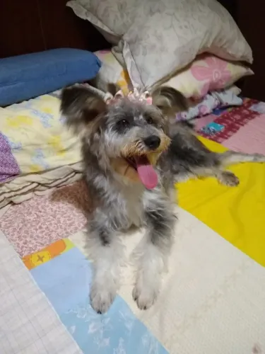 Doação